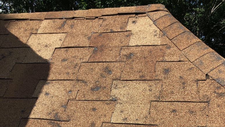 Large black hail impact marks on a light tan asphalt shingle roof